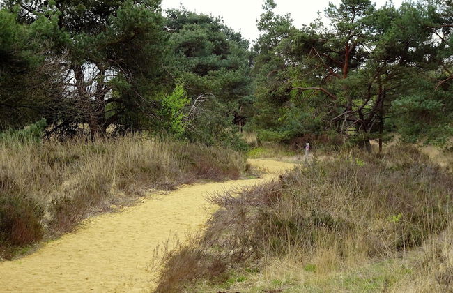 Spacious Holiday Home in Eersel With Open Fire - Foto 39