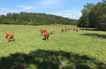 Schwabenhof Ferienwohnung I - Foto 9