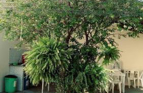 Sobrado Parque Mae Bonifacia 4 suites com ar e piscina - Foto 41