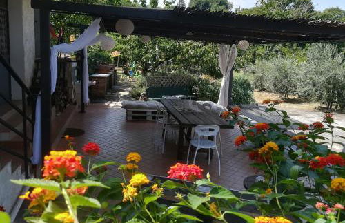 La terra dei ciliegi tra l'Etna e il mare di Taormina - Foto 7