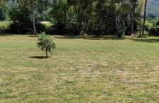 Mas provençal authentique XXL avec grande piscine, terrain de pétanque et parc privé - Foto 33