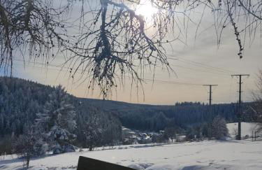 Gasthaus Piesau - Thüringer Wald - Rennsteig - Foto 78