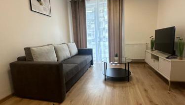 Apartament ŻELAZNY HGS Home - Foto 5