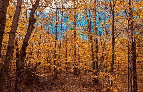 Poconos Chalet - Foto 22