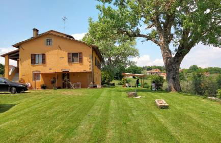 Vigna del Poggio - Foto 2