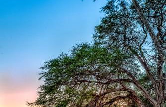Castle at Moloka'i Shores - Foto 76