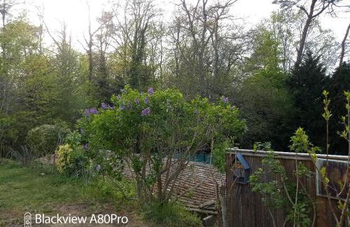 La Sablonnière de Rochefort - Foto 36