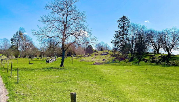 9 Person Holiday Home in Morlunda-by Traum - Foto 3, Verschiedenes