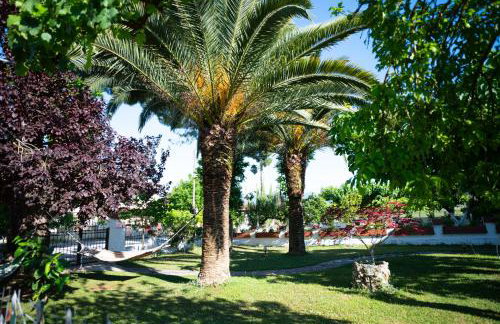 Country House Elaionas - Foto 19