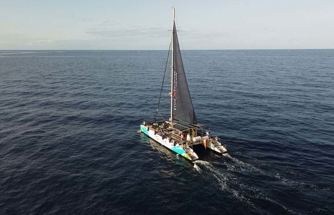 Passeio de catamarã de 3 horas com avistamento e escuta de cetáceos - Foto 3