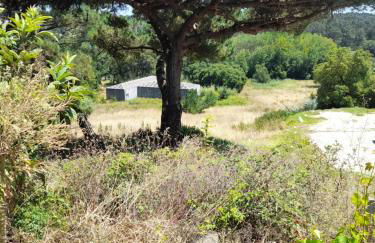 Nadadouro Eco-country-cottage - Foto 15