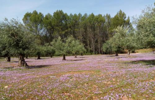 Casas Rurales La Loma Del Carrascal - Foto 15