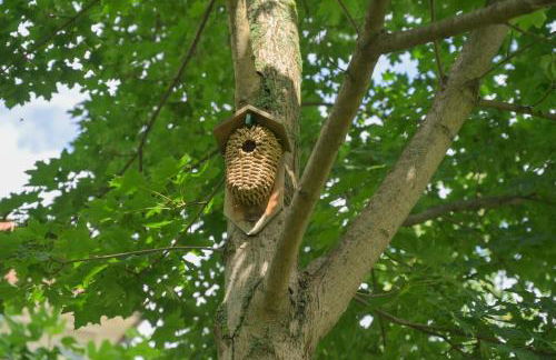 Colmar Friends and Familly guest home - ALL INCLUSIVE - COLMAR Gare - Jardin - Combles et Vous - Foto 73