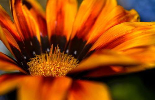 Recanto das Florenças (2) - Photo 64