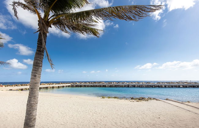 Royal Apartments City Centre Willemstad - Foto 52