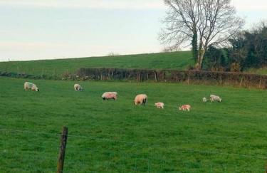 Meadow View - Foto 8