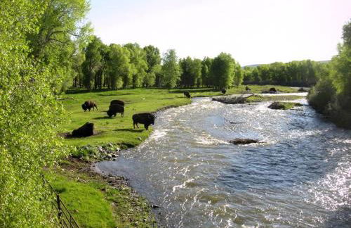 Cozy Accommodation with Breakfast Included in Meeteetse, Wyoming - Foto 6