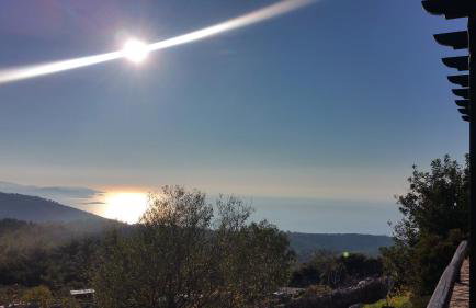 Avgonima All Seasons Hotel - Photo 5