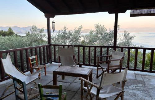 Olive Grove House - Foto 15