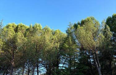 La Stellina Casa Vacanze - Relax immersi nella natura - Foto 29