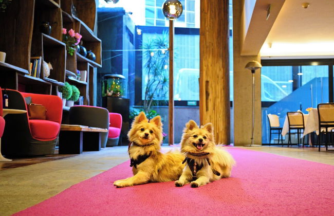 Las Suites Campos Eliseos - Foto 60