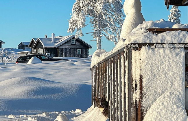 8 Person Holiday Home in Osen - Foto 36