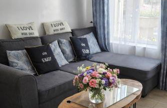 Enjoy en Champagne maison calme au milieu du vignoble avec parking gratuit - Foto 35