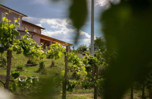 Agriturismo Il Borgo - Foto 18