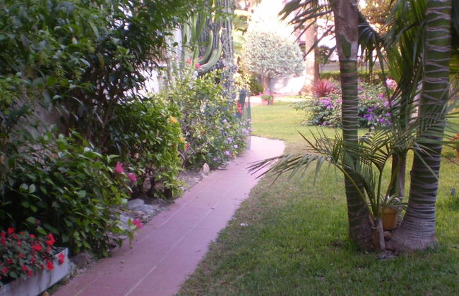 Apartamentos El Oasis - Foto 31