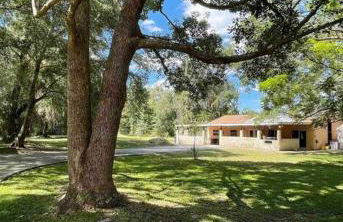 The Piano House - Foto 1