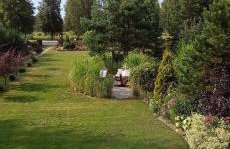 Siedlisko Gruszki Puszcza Białowieska - Foto 43