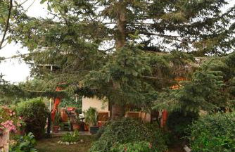 Archontis Dream Villa - Foto 12