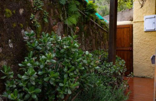 Monolocale con veranda e giardino a Rio Marina - Foto 28