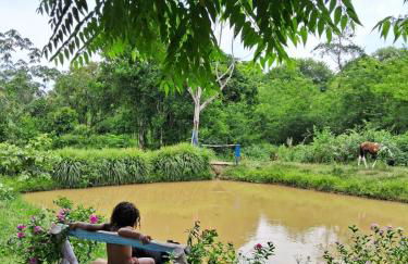 Sítio Luz das Estrelas - Foto 6