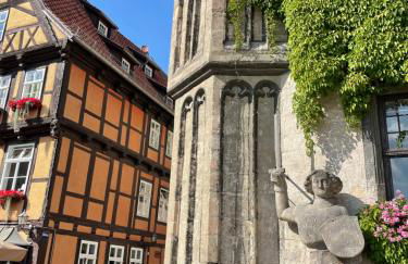 Ferienwohnungen an der Blasiikirche - Foto 69