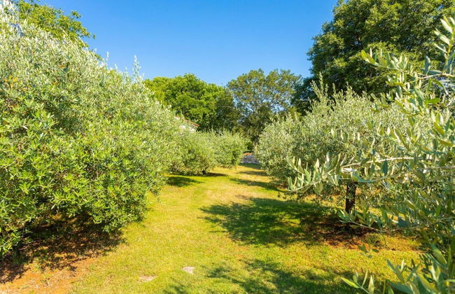 Villa Di Vino in Orbani i - Foto 47