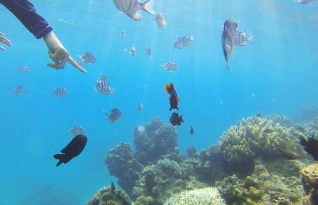 Thalassa Beach and Pool Villa - Foto 40