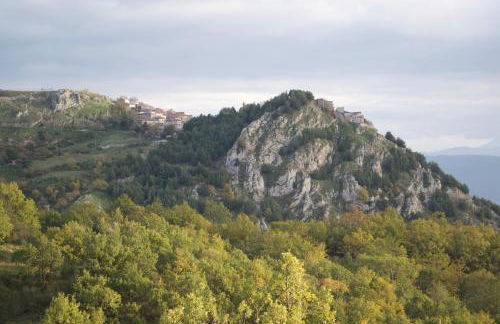 Azienda Agricola Il Querceto - Foto 73