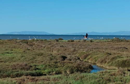 Casa Mar Roquetes - Foto 30