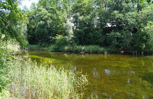 Ferienwohnung Rehagen Süd - Photo 8