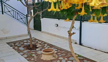 Dimitris place near Athens airport - Foto 1, Garden