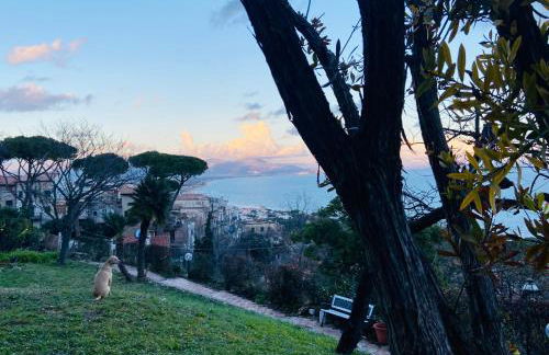 Ippocampo Blanc - Foto 50