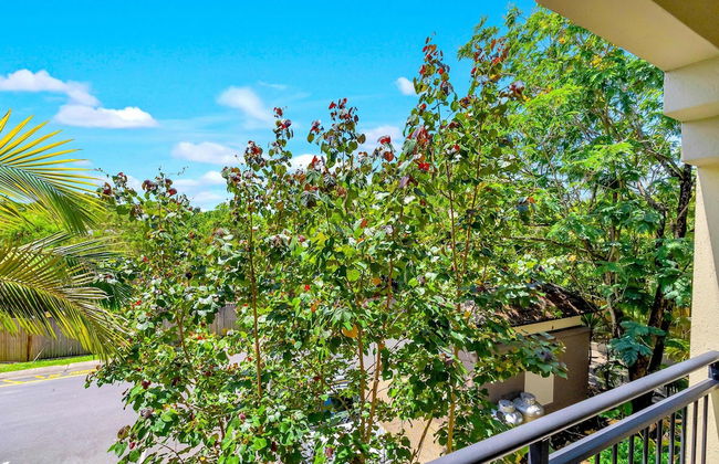 Palm View- 9 Pools BBQ Gym - Foto 6