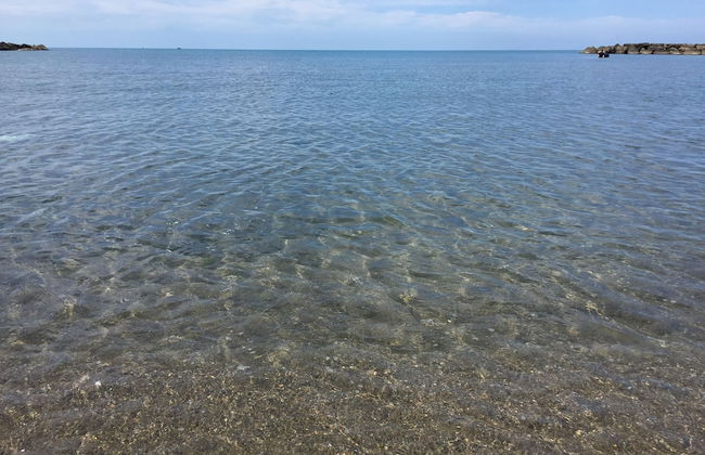 Alya Suit Otel - Photo 18