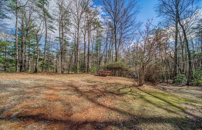 Blueridge Retreat Private 4 BDR Cabin Sleeps 10! - Foto 31