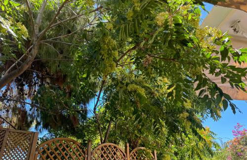 Corali Luxury Beach Apartment - Photo 40