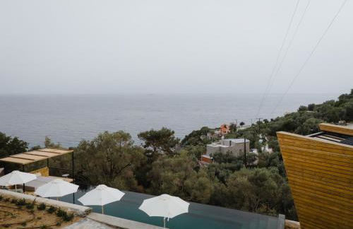 Five Olive Dream Trip - Photo 16