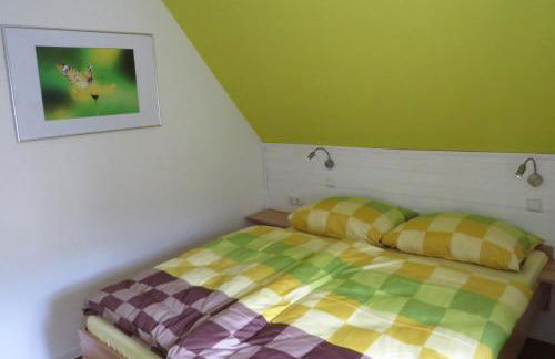 Petit Papillon - Foto 11