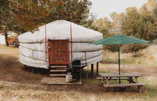 Glamping yurt at nature retreat in Sequoia NForest - Photo 3
