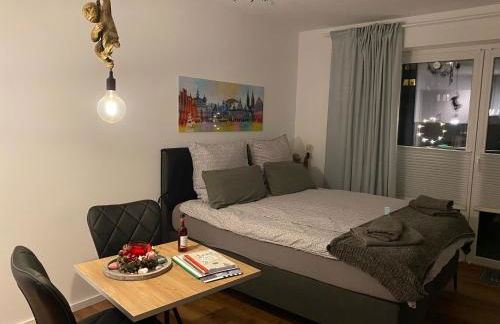 Exklusive Ferienwohnung 5km vom Centrum - Foto 12